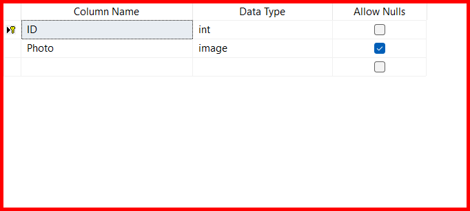 Picture showing schema of Image table